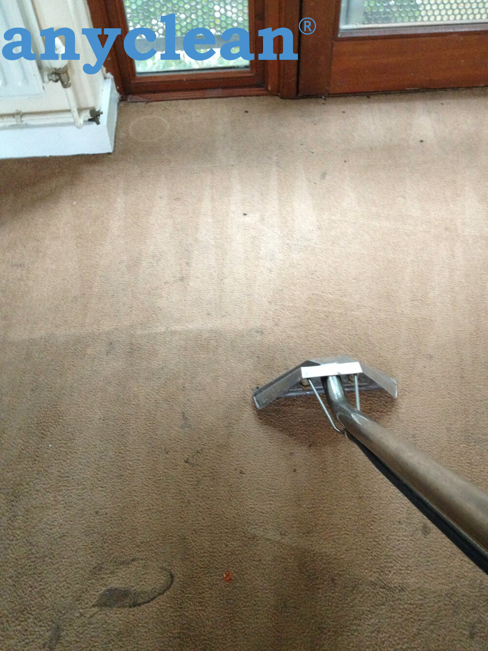 Anyclean technician steam cleaning a carpet in a Kensington home