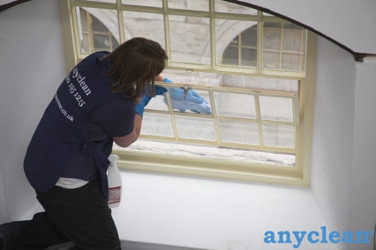 Anyclean technician steam cleaning a carpet in an N5 home