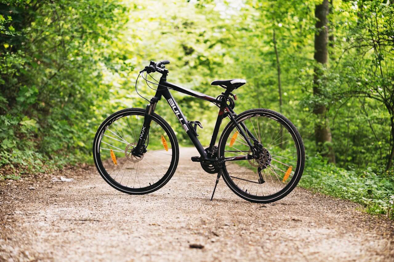 A mountain bike parked on a forest track.
