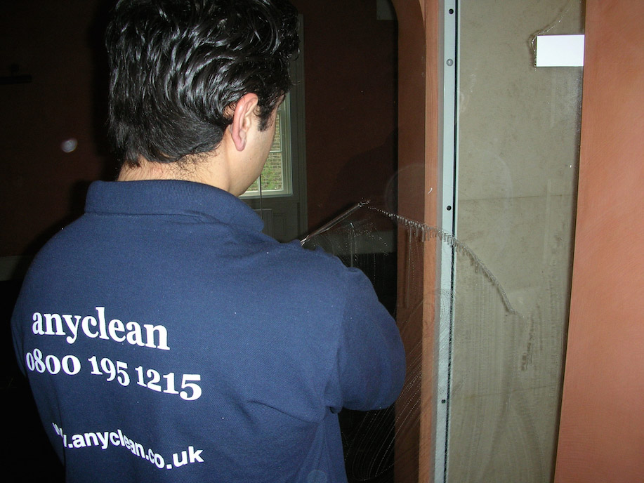 Tenancy Cleaner Cleaning Glass Shower Door