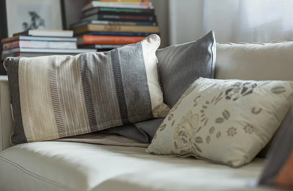 Upholstery - Sofa and Pillows