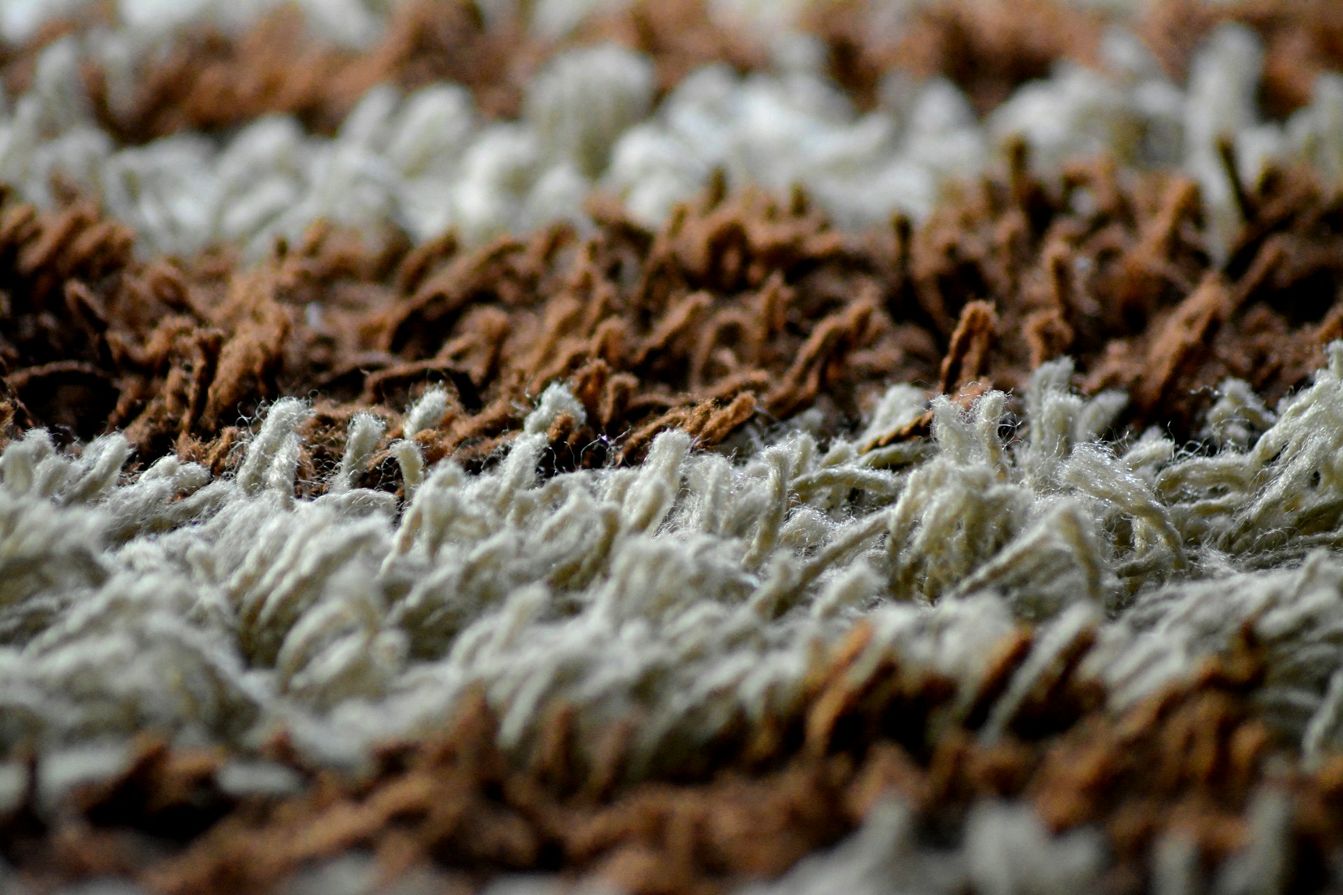 A close-up shot of brown-and-white carpet fibres