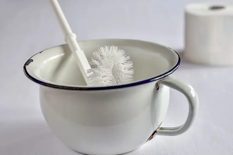 Chamber Pot Resembling a Toilet