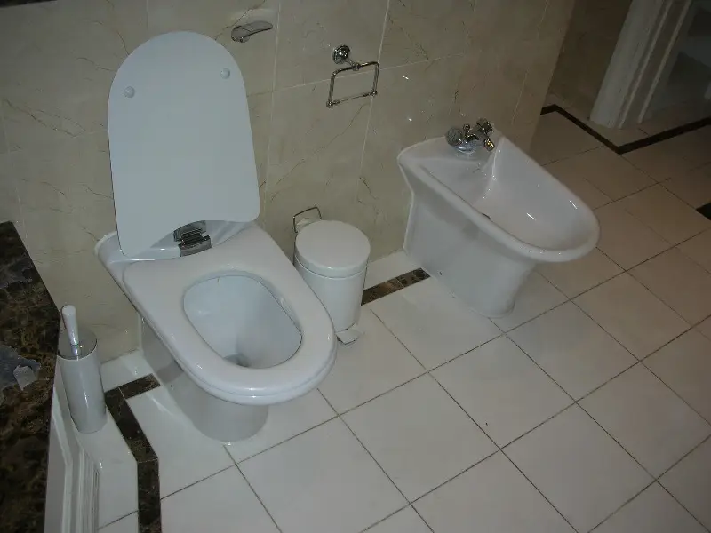 Clean Toilet Commode and Bidet Next to It