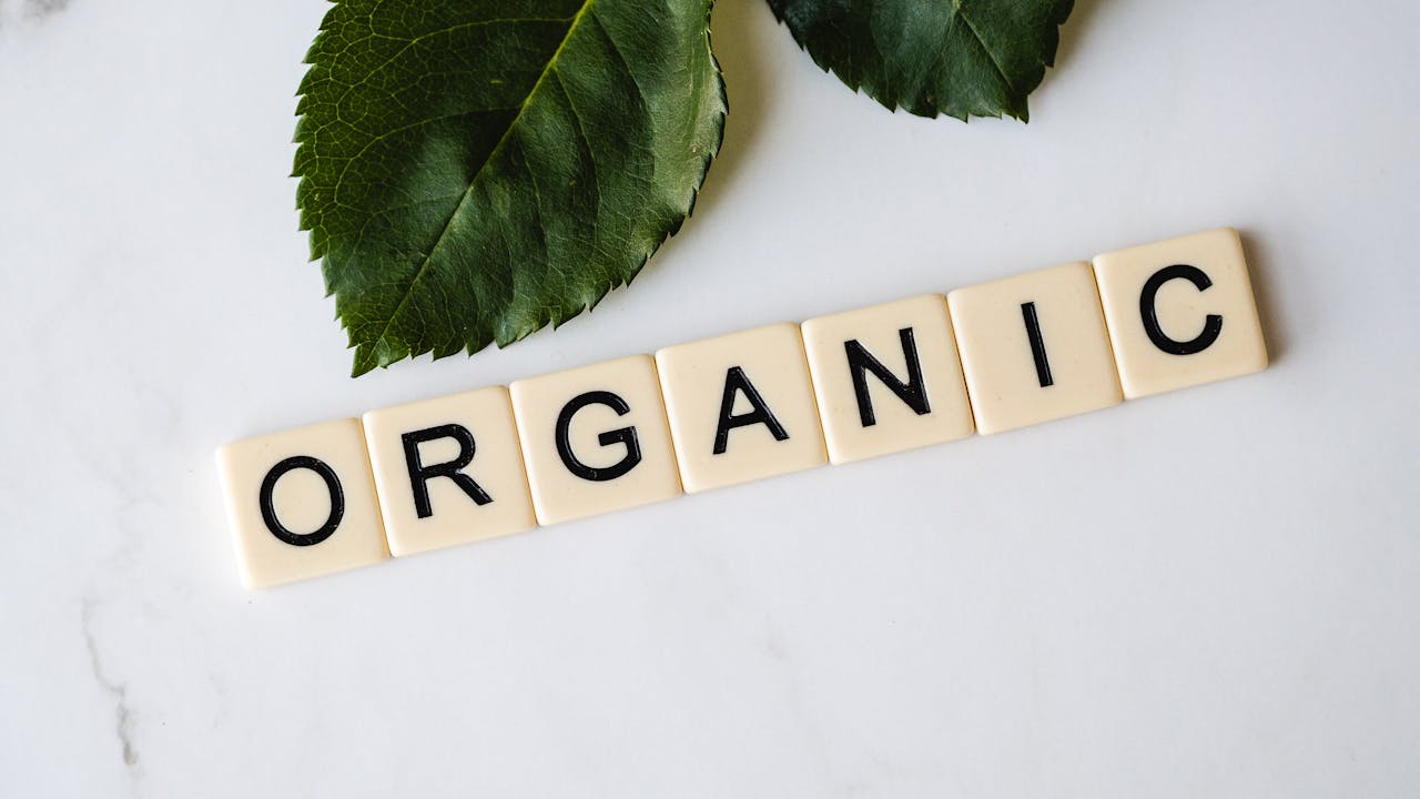 The word "organic" on a white background
