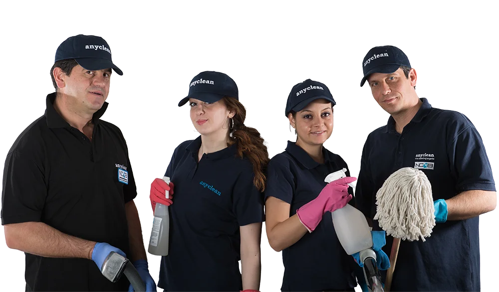 Professional cleaners from Anyclean